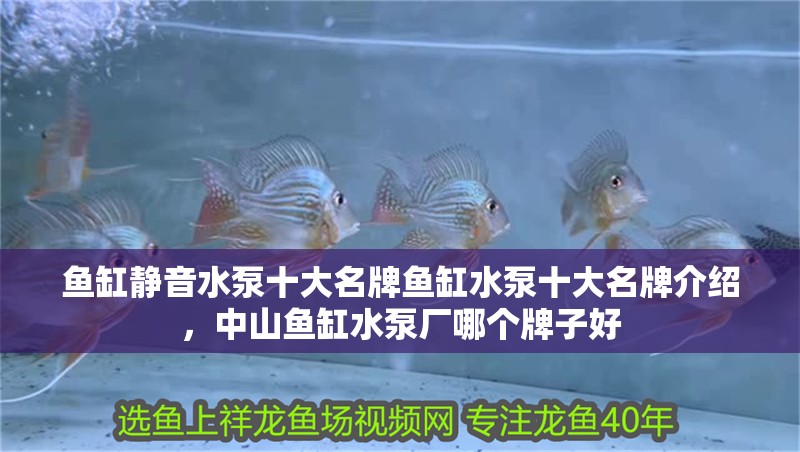 魚(yú)缸靜音水泵十大名牌魚(yú)缸水泵十大名牌介紹，中山魚(yú)缸水泵廠哪個(gè)牌子好