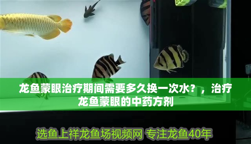 龍魚蒙眼治療期間需要多久換一次水？，治療龍魚蒙眼的中藥方劑