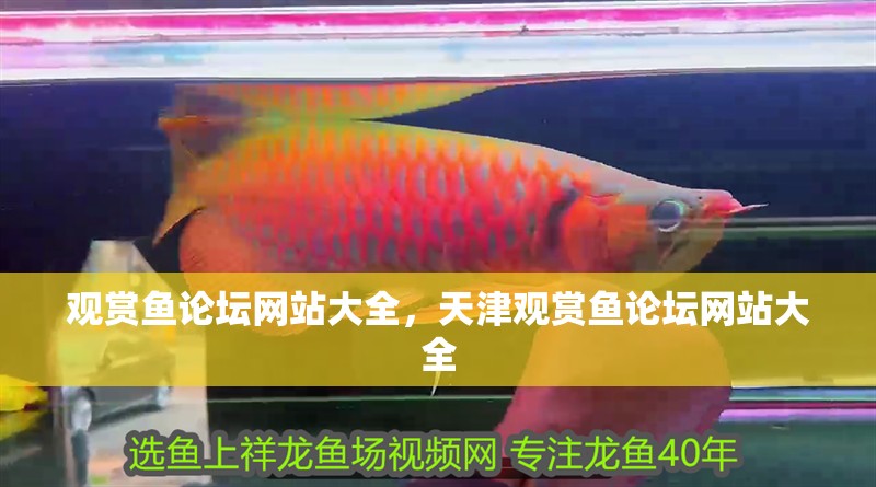 觀賞魚論壇網站大全，天津觀賞魚論壇網站大全