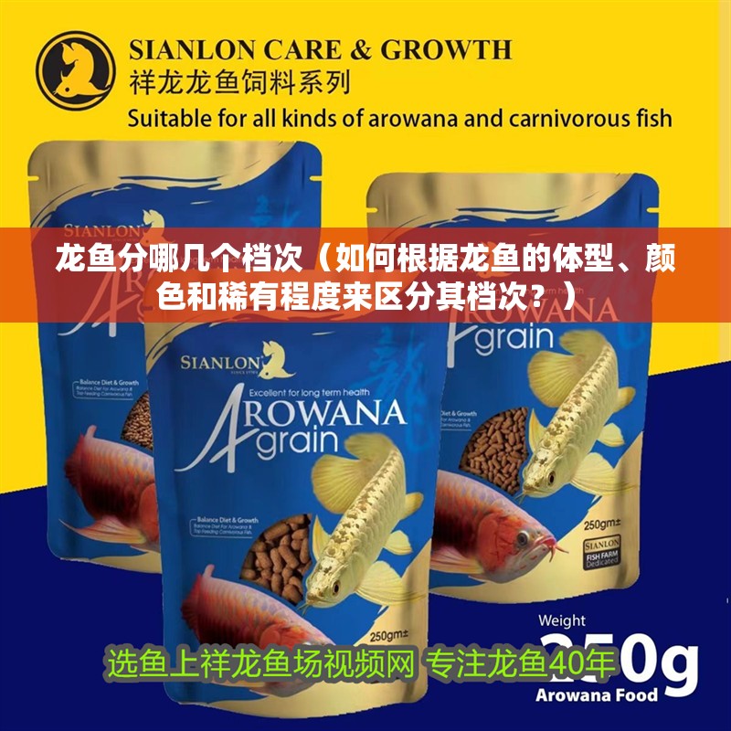 龍魚分哪幾個檔次（如何根據龍魚的體型、顏色和稀有程度來區分其檔次？）