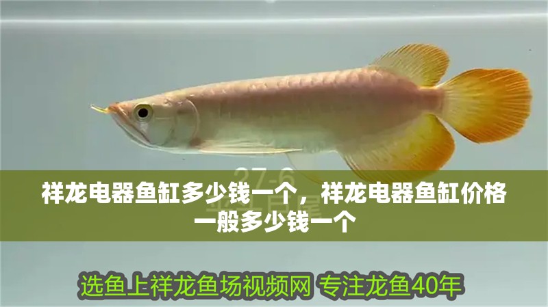 祥龍電器魚缸多少錢一個，祥龍電器魚缸價格一般多少錢一個