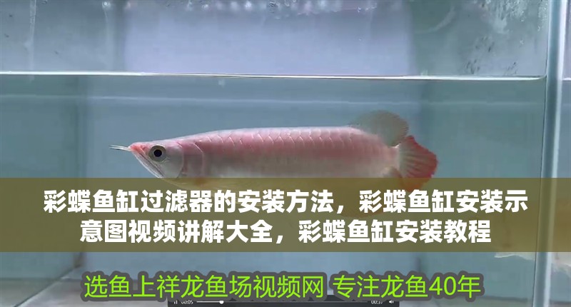 彩蝶魚缸過濾器的安裝方法，彩蝶魚缸安裝示意圖視頻講解大全，彩蝶魚缸安裝教程