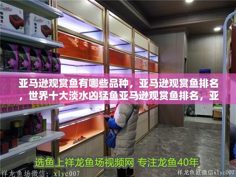 亞馬遜觀賞魚有哪些品種，亞馬遜觀賞魚排名，世界十大淡水兇猛魚亞馬遜觀賞魚排名，亞馬遜觀賞魚排名