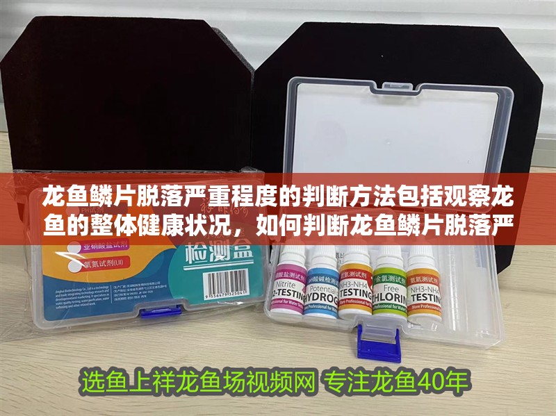 龍魚鱗片脫落嚴(yán)重程度的判斷方法包括觀察龍魚的整體健康狀況，如何判斷龍魚鱗片脫落嚴(yán)重程度