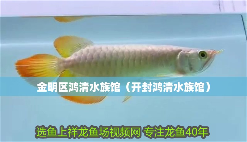 金明區(qū)鴻清水族館（開封鴻清水族館）