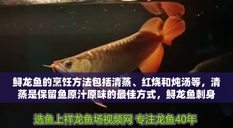 鱘龍魚的烹飪方法包括清蒸、紅燒和燉湯等，清蒸是保留魚原汁原味的最佳方式，鱘龍魚刺身怎么做