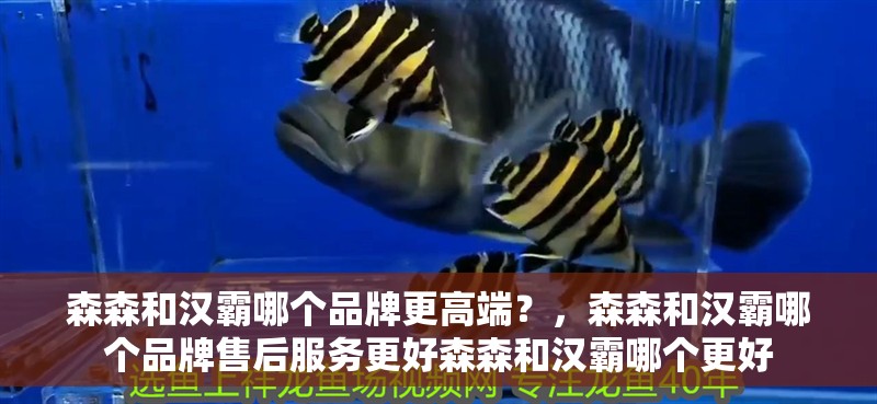 森森和漢霸哪個品牌更高端？，森森和漢霸哪個品牌售后服務更好森森和漢霸哪個更好