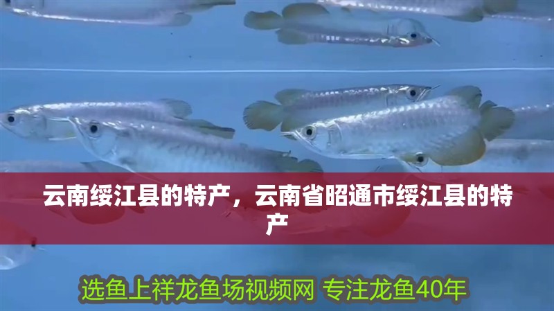 云南綏江縣的特產，云南省昭通市綏江縣的特產