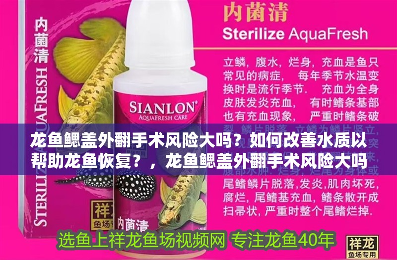 龍魚(yú)鰓蓋外翻手術(shù)風(fēng)險(xiǎn)大嗎？如何改善水質(zhì)以幫助龍魚(yú)恢復(fù)？，龍魚(yú)鰓蓋外翻手術(shù)風(fēng)險(xiǎn)大嗎