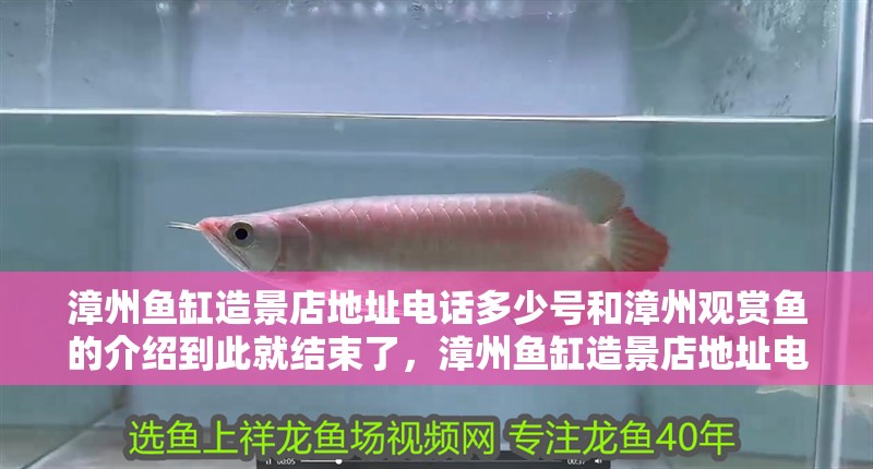 漳州魚缸造景店地址電話多少號和漳州觀賞魚的介紹到此就結束了，漳州魚缸造景店地址電話多少號