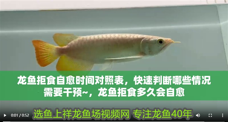 龍魚拒食自愈時間對照表，快速判斷哪些情況需要干預~，龍魚拒食多久會自愈