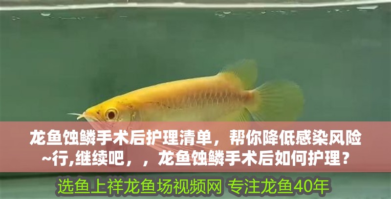 龍魚蝕鱗手術(shù)后護理清單，幫你降低感染風(fēng)險~行,繼續(xù)吧，，龍魚蝕鱗手術(shù)后如何護理？