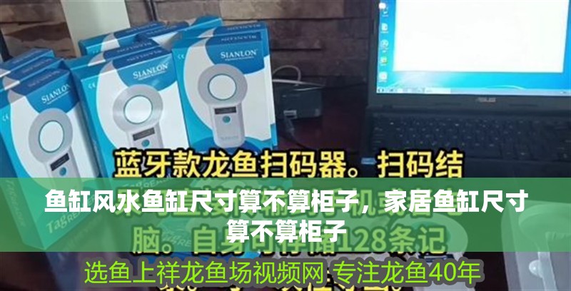 魚缸風水魚缸尺寸算不算柜子，家居魚缸尺寸算不算柜子