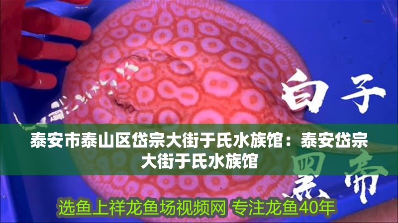泰安市泰山區(qū)岱宗大街于氏水族館：泰安岱宗大街于氏水族館