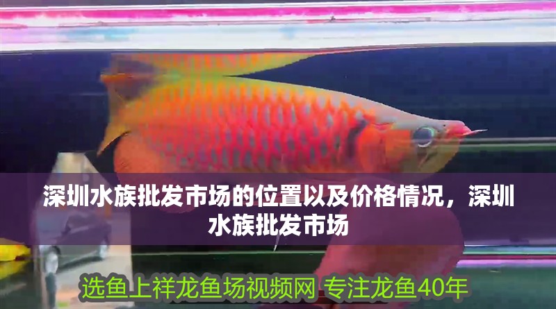 深圳水族批發(fā)市場(chǎng)的位置以及價(jià)格情況，深圳水族批發(fā)市場(chǎng)