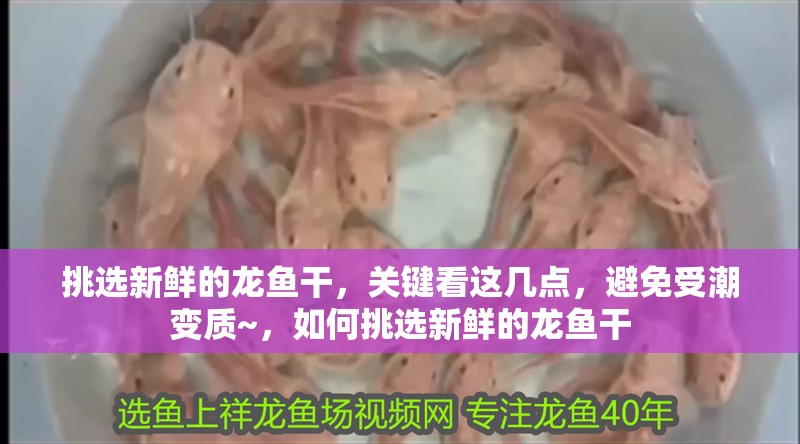 挑選新鮮的龍魚(yú)干，關(guān)鍵看這幾點(diǎn)，避免受潮變質(zhì)~，如何挑選新鮮的龍魚(yú)干