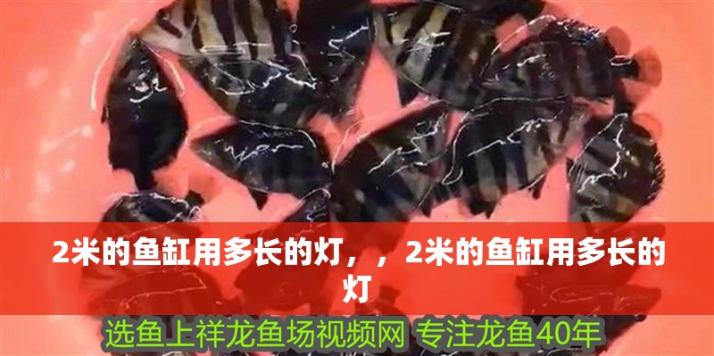 2米的魚缸用多長的燈，，2米的魚缸用多長的燈