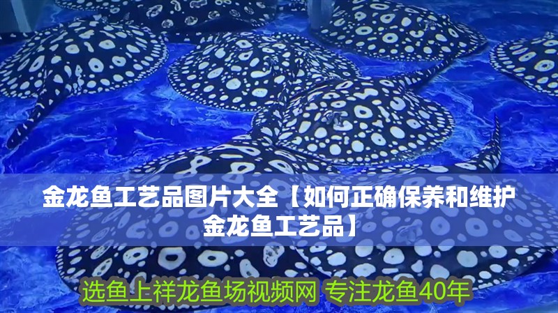 金龍魚工藝品圖片大全【如何正確保養和維護金龍魚工藝品】