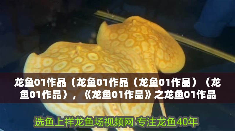 龍魚01作品（龍魚01作品（龍魚01作品）（龍魚01作品），《龍魚01作品》之龍魚01作品