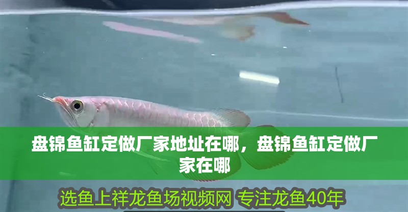 盤錦魚缸定做廠家地址在哪，盤錦魚缸定做廠家在哪