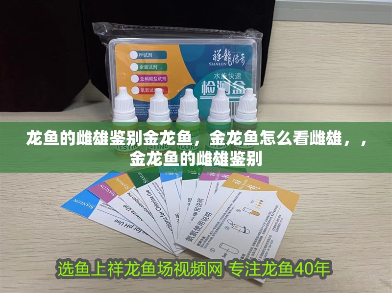 龍魚的雌雄鑒別金龍魚，金龍魚怎么看雌雄，，金龍魚的雌雄鑒別