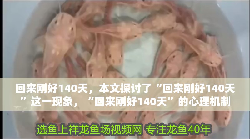 回來(lái)剛好140天，本文探討了“回來(lái)剛好140天”這一現(xiàn)象，“回來(lái)剛好140天”的心理機(jī)制