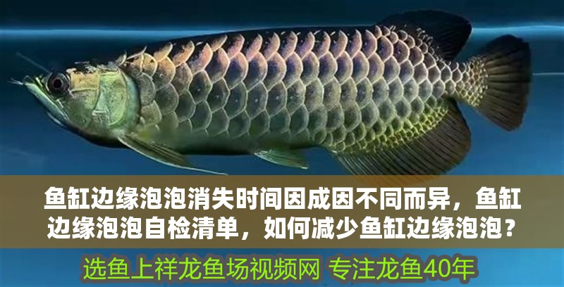 魚缸邊緣泡泡消失時間因成因不同而異，魚缸邊緣泡泡自檢清單，如何減少魚缸邊緣泡泡？