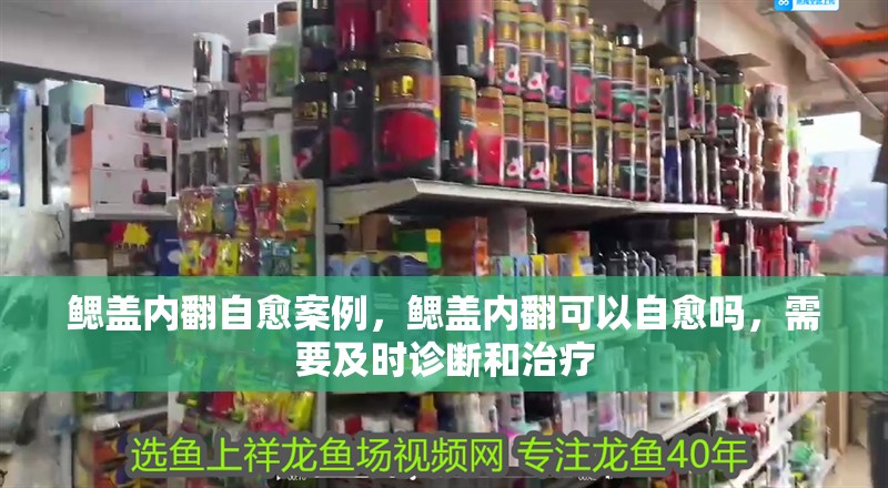 鰓蓋內(nèi)翻自愈案例，鰓蓋內(nèi)翻可以自愈嗎，需要及時(shí)診斷和治療