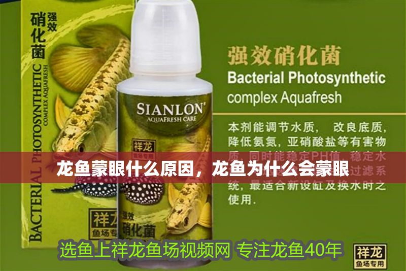 龍魚蒙眼什么原因，龍魚為什么會蒙眼