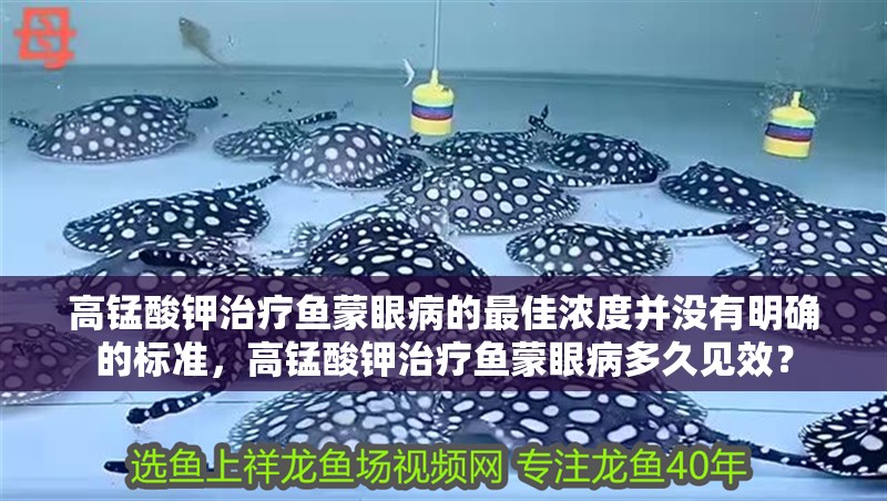 高錳酸鉀治療魚蒙眼病的最佳濃度并沒(méi)有明確的標(biāo)準(zhǔn)，高錳酸鉀治療魚蒙眼病多久見(jiàn)效？