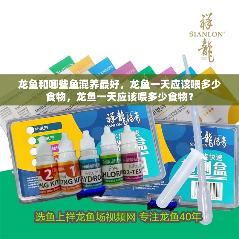 龍魚和哪些魚混養最好，龍魚一天應該喂多少食物，龍魚一天應該喂多少食物？