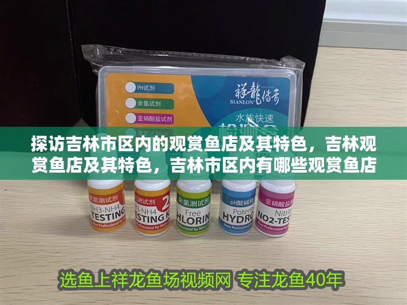 探訪吉林市區內的觀賞魚店及其特色，吉林觀賞魚店及其特色，吉林市區內有哪些觀賞魚店？