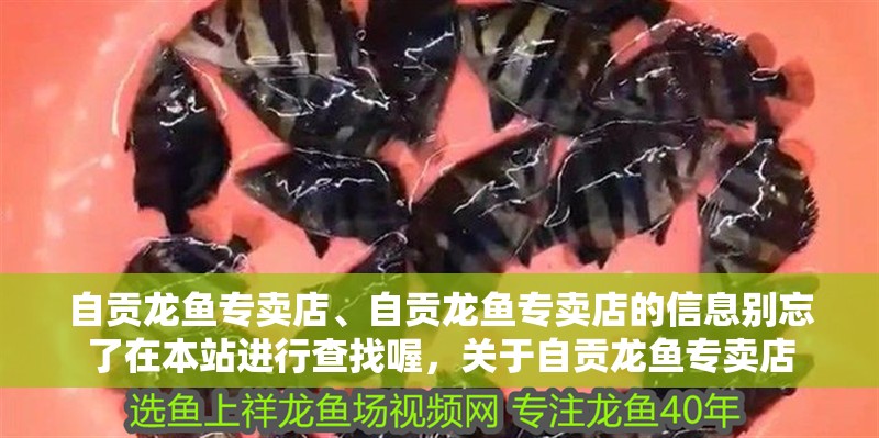 自貢龍魚專賣店、自貢龍魚專賣店的信息別忘了在本站進行查找喔，關于自貢龍魚專賣店