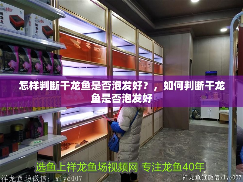 怎樣判斷干龍魚是否泡發好？，如何判斷干龍魚是否泡發好