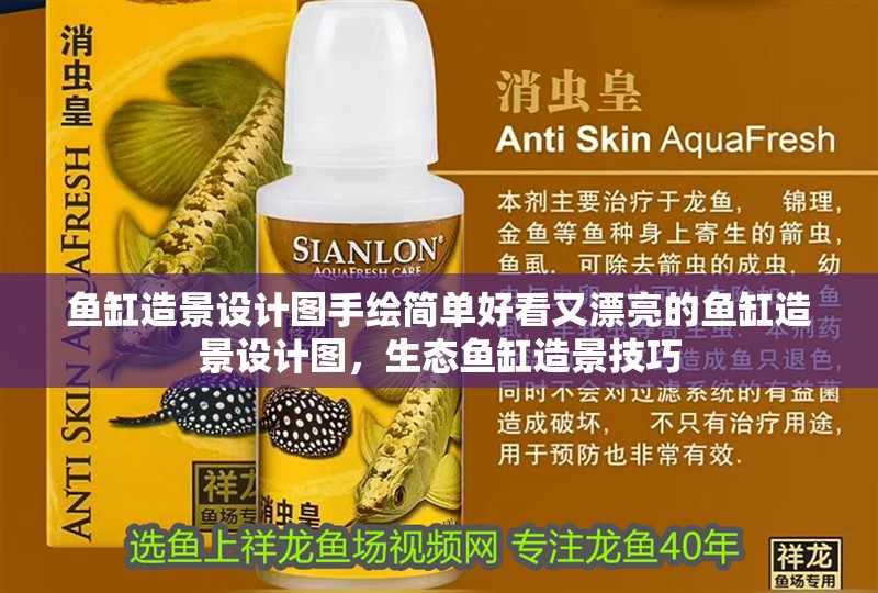 魚缸造景設計圖手繪簡單好看又漂亮的魚缸造景設計圖，生態魚缸造景技巧