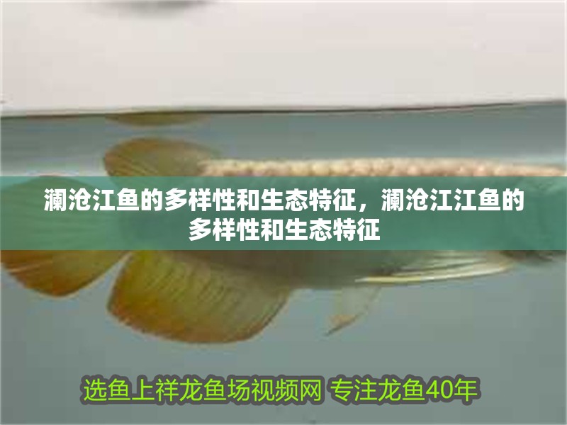 瀾滄江魚的多樣性和生態(tài)特征，瀾滄江江魚的多樣性和生態(tài)特征
