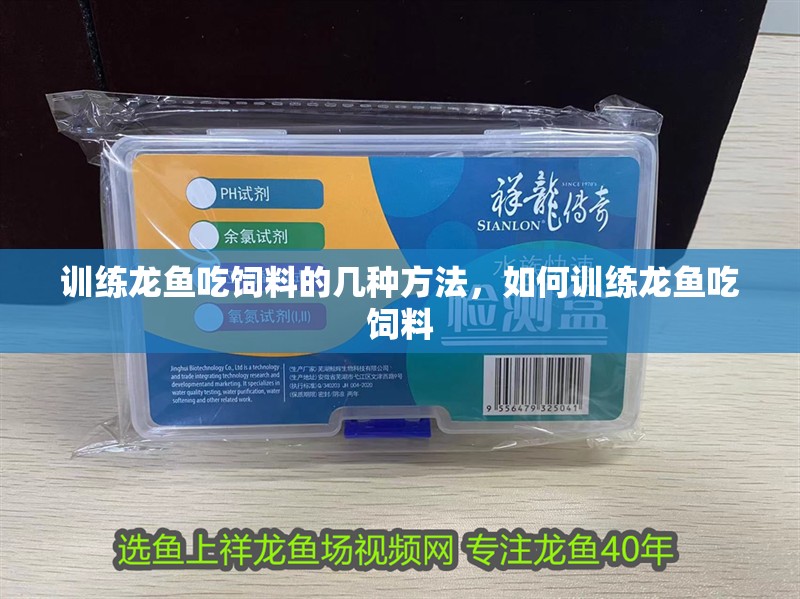 訓練龍魚吃飼料的幾種方法，如何訓練龍魚吃飼料