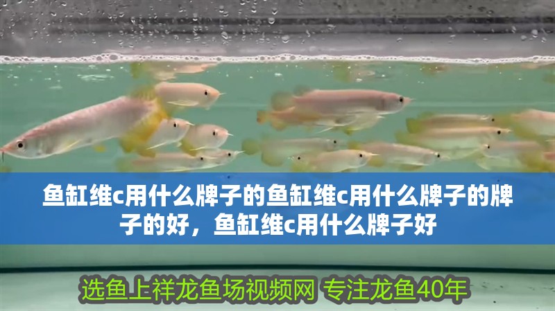 魚缸維c用什么牌子的魚缸維c用什么牌子的牌子的好，魚缸維c用什么牌子好