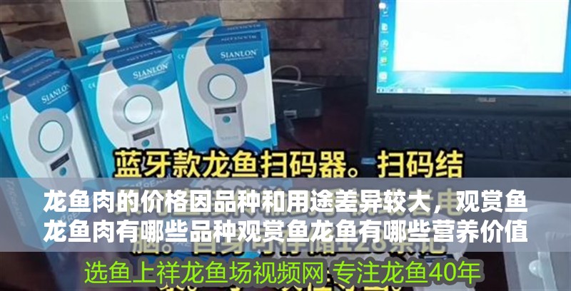 龍魚肉的價(jià)格因品種和用途差異較大，觀賞魚龍魚肉有哪些品種觀賞魚龍魚有哪些營養(yǎng)價(jià)值