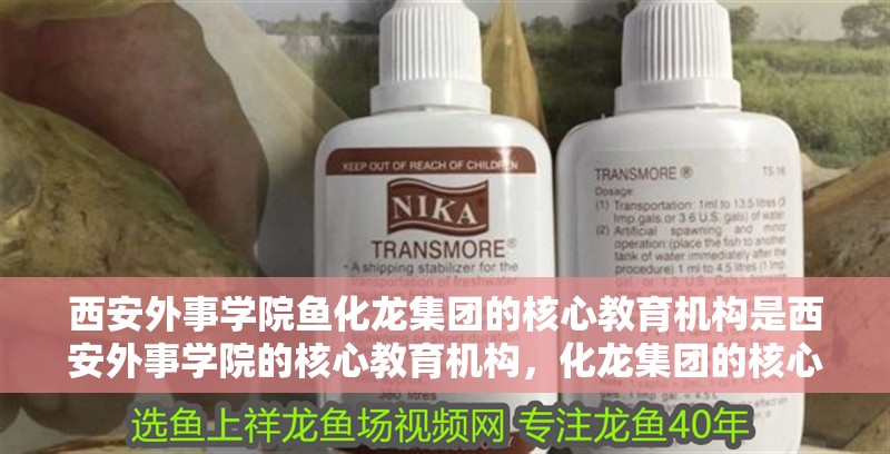 西安外事學院魚化龍集團的核心教育機構是西安外事學院的核心教育機構，化龍集團的核心教育機構是什么？