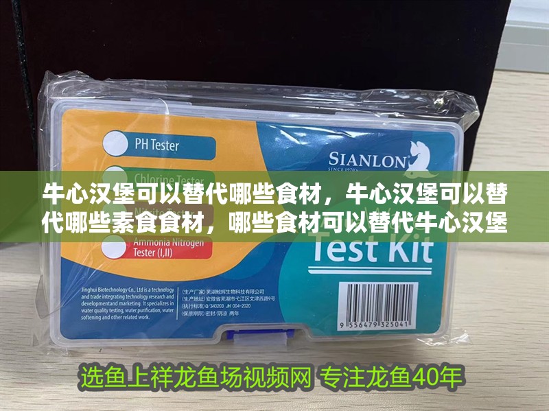 牛心漢堡可以替代哪些食材，牛心漢堡可以替代哪些素食食材，哪些食材可以替代牛心漢堡？