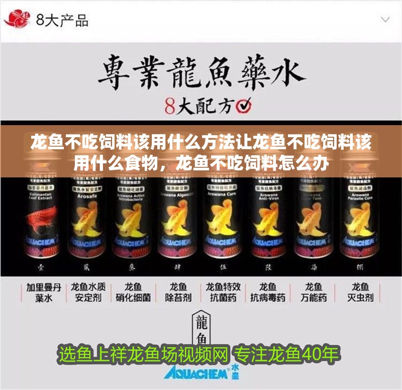 龍魚不吃飼料該用什么方法讓龍魚不吃飼料該用什么食物，龍魚不吃飼料怎么辦