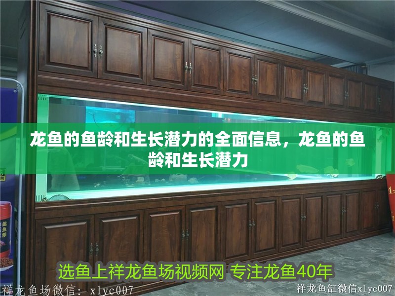 龍魚的魚齡和生長潛力的全面信息，龍魚的魚齡和生長潛力