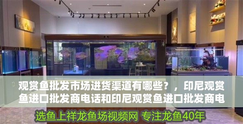 觀賞魚批發市場進貨渠道有哪些？，印尼觀賞魚進口批發商電話和印尼觀賞魚進口批發商電話