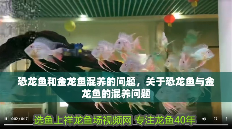 恐龍魚和金龍魚混養的問題，關于恐龍魚與金龍魚的混養問題