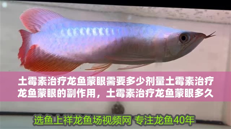 土霉素治療龍魚蒙眼需要多少劑量土霉素治療龍魚蒙眼的副作用，土霉素治療龍魚蒙眼多久見效？