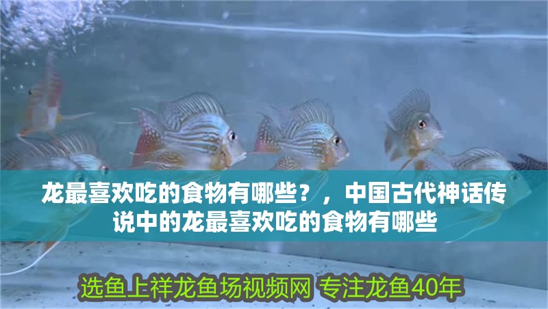 龍最喜歡吃的食物有哪些？，中國古代神話傳說中的龍最喜歡吃的食物有哪些
