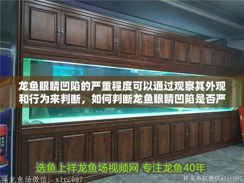龍魚眼睛凹陷的嚴重程度可以通過觀察其外觀和行為來判斷，如何判斷龍魚眼睛凹陷是否嚴重