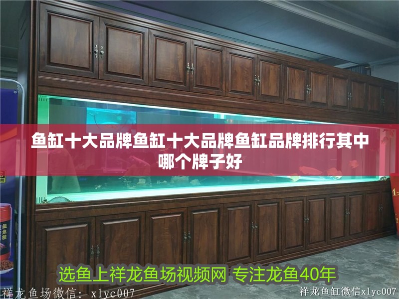 魚缸十大品牌魚缸十大品牌魚缸品牌排行其中哪個牌子好