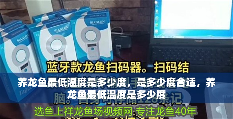 養龍魚最低溫度是多少度，是多少度合適，養龍魚最低溫度是多少度